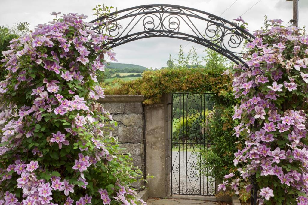 Glasha Farmhouse Pension Ballymacarbry Buitenkant foto