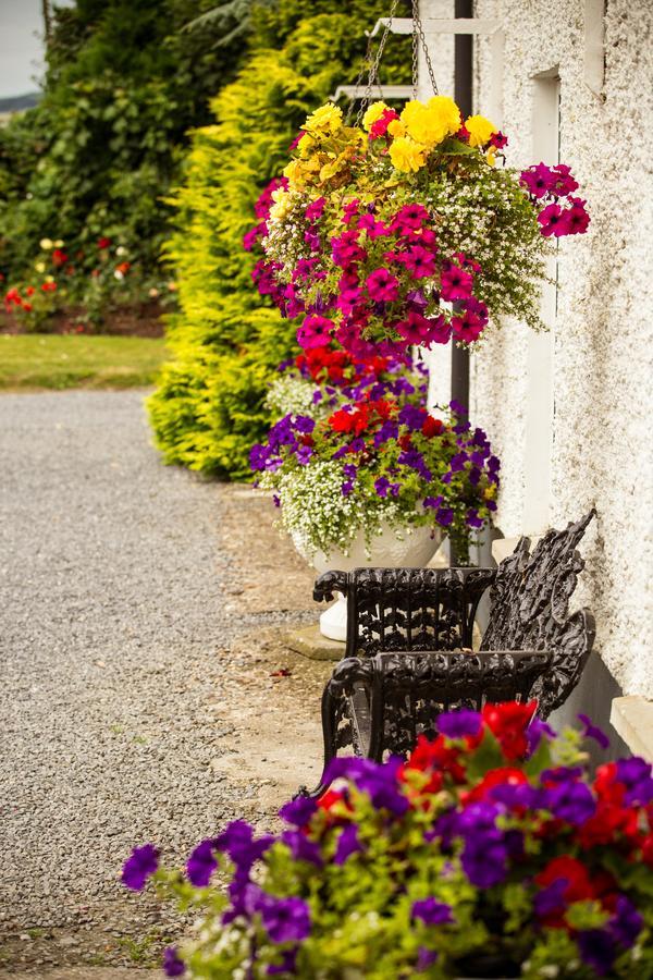 Glasha Farmhouse Pension Ballymacarbry Buitenkant foto
